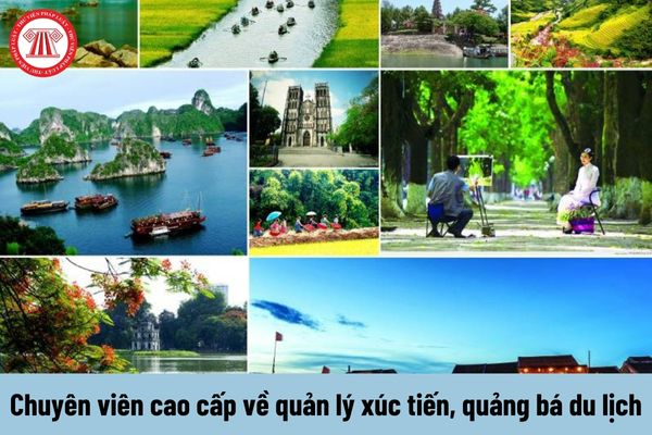 Hotspot Matrix và sự kiện A80: Kết nối nội dung và các chiến sĩ_kỹ năng sáng tạo nội dung