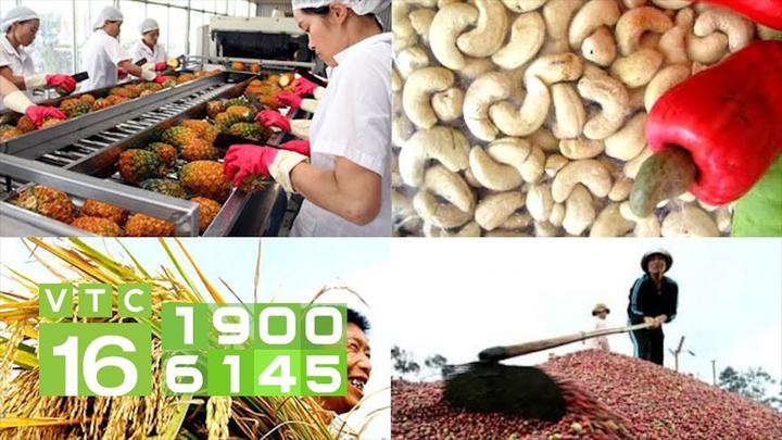 Triệu Video Lên Sóng: Nhịp Đập Hotspot Matrix