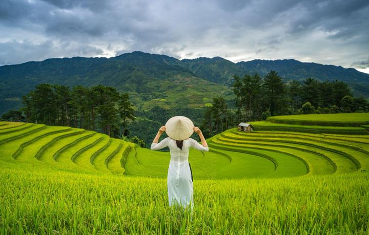Hotspot Matrix: Giải pháp quản lý nội dung đa tài khoản, đa nền tảng tối ưu