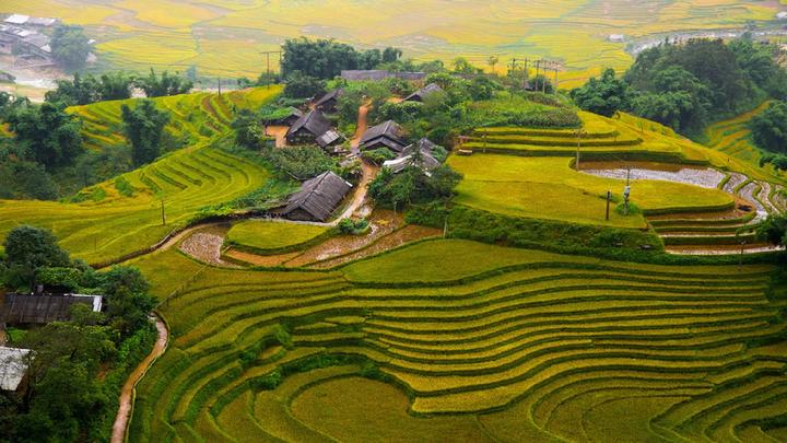 Hotspot Matrix: Chiến binh bí mật của chủ cửa hàng nhỏ