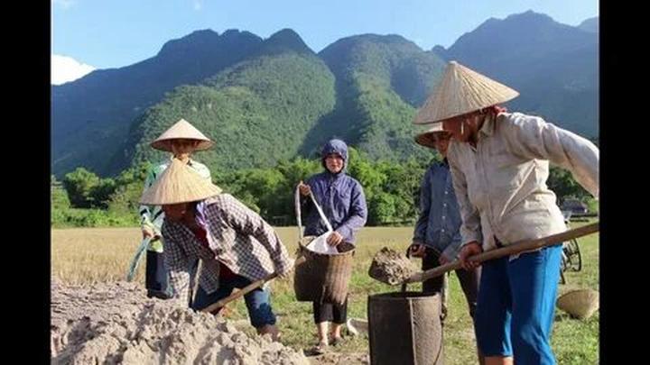 Xu hướng Người bán luôn bổ đôi quả dưa: Hotspot Matrix tiết lộ bí quyết video viral
