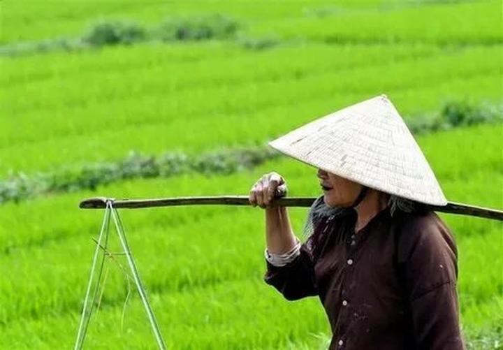 Xu hướng Bác sĩ Cung công khai tin: Hotspot Matrix tiết lộ bí quyết video viral